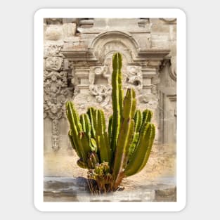 Organ Pipe Cactus in Front of Colonial Church Sticker